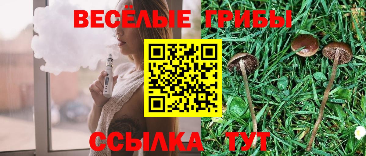 Малоярославец  Псилоцибиновые грибы Cubensis  Вход с VPN  Псилоцибиновые грибы мухоморы 